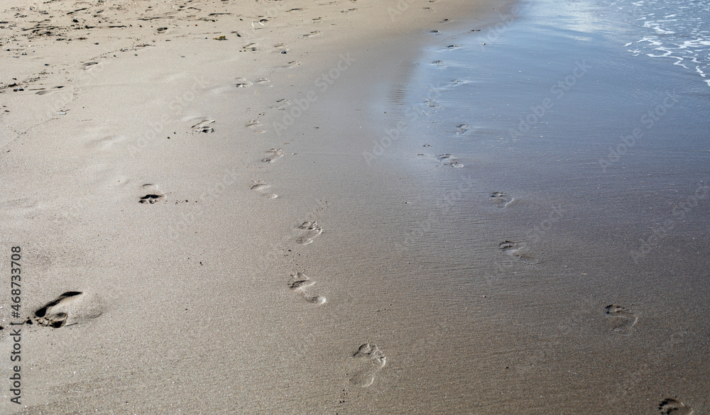 abstract background of footprints on wet sand on the beach at the sea coast, horizontal abstract background of footprints on wet sand on the beach at the sea coast, horizontal