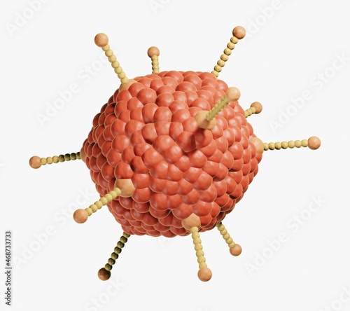 Adenovirus structure, Most adenoviruses result in cold, flu or inflammation, In some cases they can cause acute respiratory disease photo