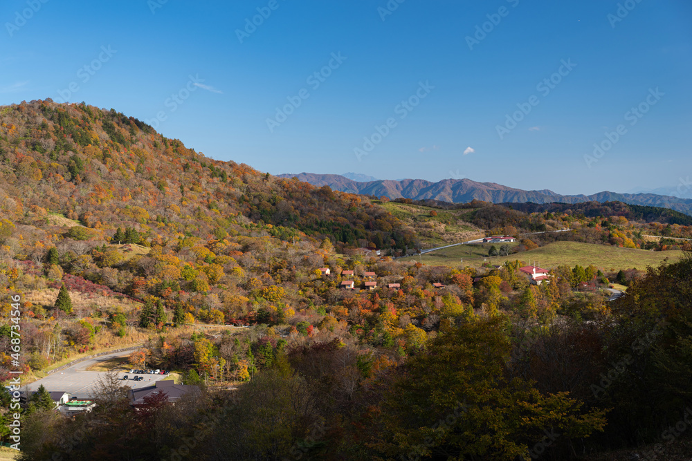 紅葉する茶臼山高原