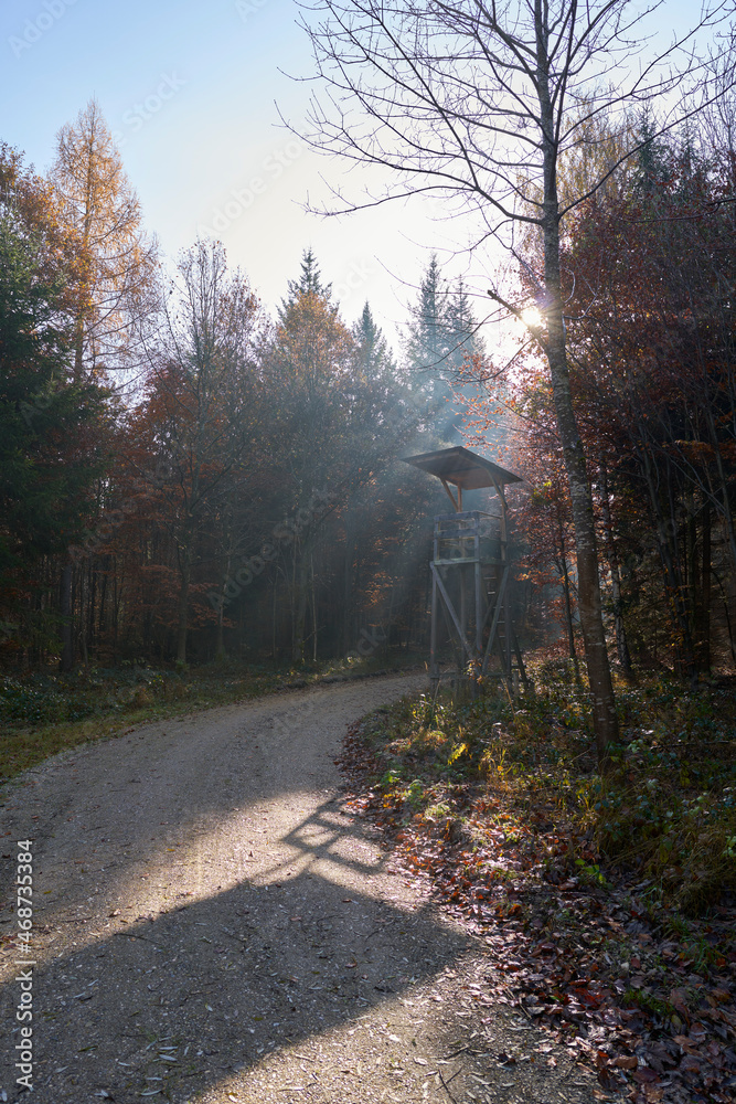 Fototapeta premium Jägerstand im Sonnenschein