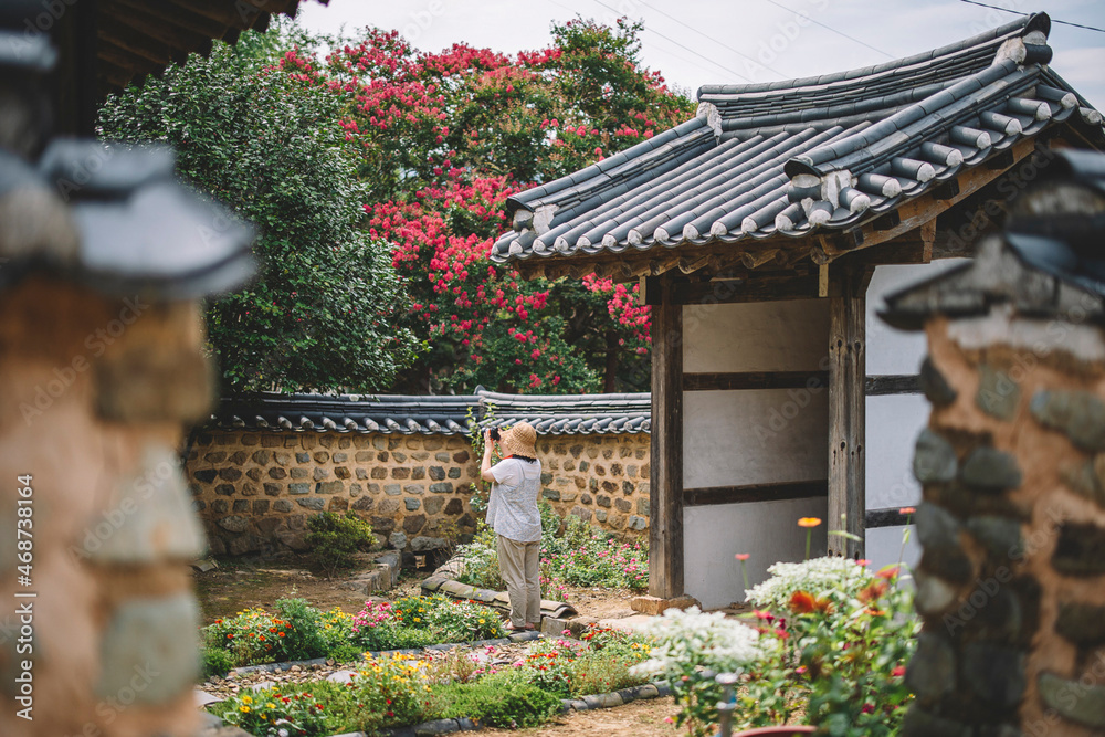 nature, old houses, south korea palace, flowers