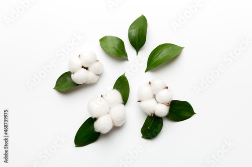 Autumn Floral Flat lay background composition. Dried white fluffy cotton flower branchwith green leaf top view on colored table with copy space photo