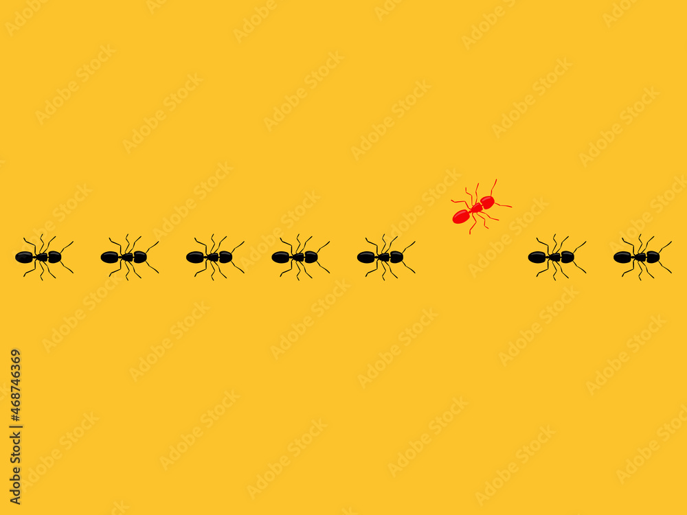 Aint trail. Think differently concept. Red ant going different way from black ants. Aint trail. Think differently concept. Red ant going different way from black ants.
