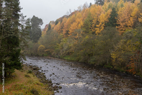 River Allen at Whitfield , Northumberland UK in autumn