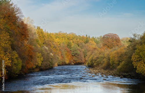 Autumnal trees by the river South Tyne, Northumberland, UK