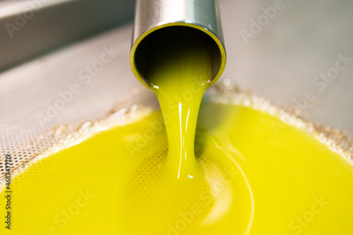 Produzione olio extra vergine di oliva, puglia photo