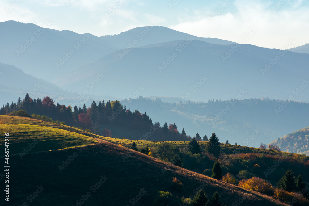 mountainous countryside landscape in autumn. grassy meadows and trees in colorful foliage on hills rolling in to the distant ridge. sunny afternoon weather