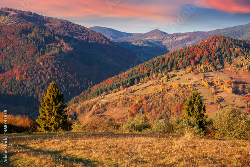 autumnal mountain landscape in evening light. beautiful carpathian countryside in fall colors. grassy hills rolling in to the distant ridge beneath a gorgeous sky with clouds © Pellinni
