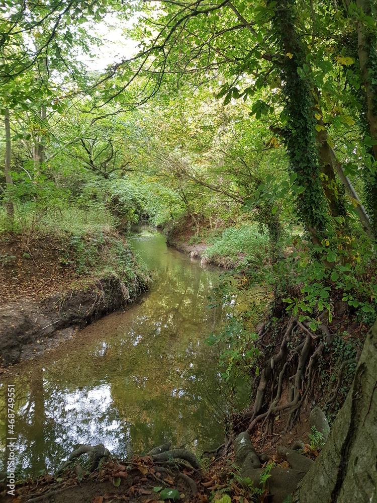 Stour brook in Haverhill, Suffolk, UK