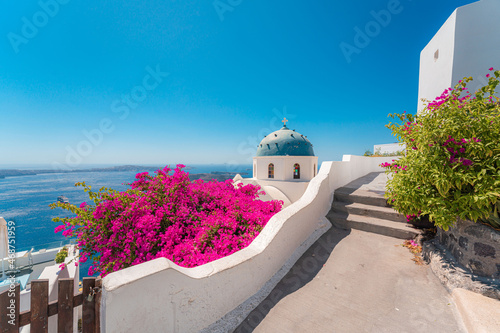 Famous traditional blue dome church and flowers in Santorini Island, Greece