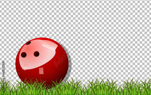 Bowling ball and grass on transparent background