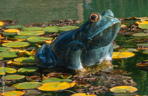 Ceramic figurine of a frog in a freshwater pond. © Eduard Belkin