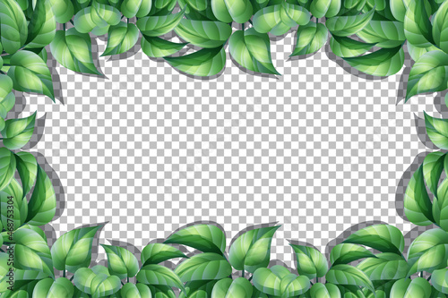 Nature plants frame transparent background