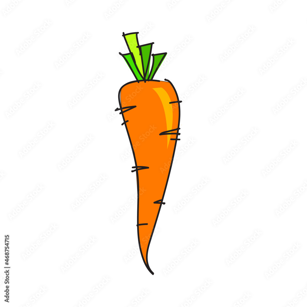Carrot vector illustration clipart 
