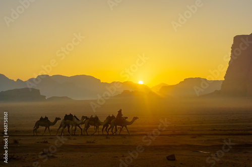 Camelcade at sunrise in Wadi Rum desert park