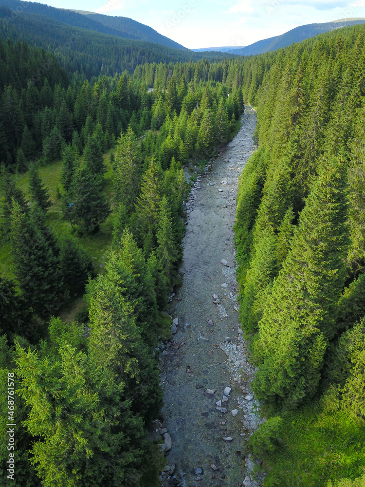 Obraz premium Aerial drone vertical panorama above Lotru river flowing through a coniferous forest. Dusk time, the massif crests and peaks of Parang Mountains are covered in shade. Carpathia, Romania.