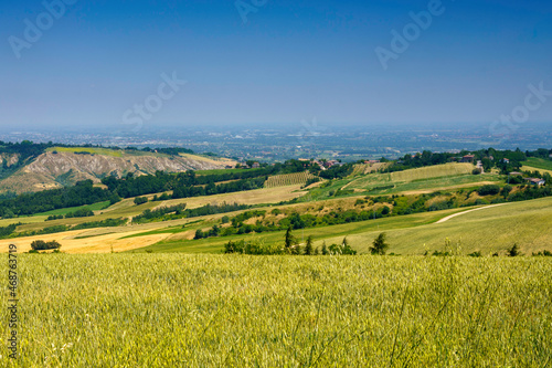 Quadro su tela Country landscape near Meldola and Predappio, Emilia-Romagna