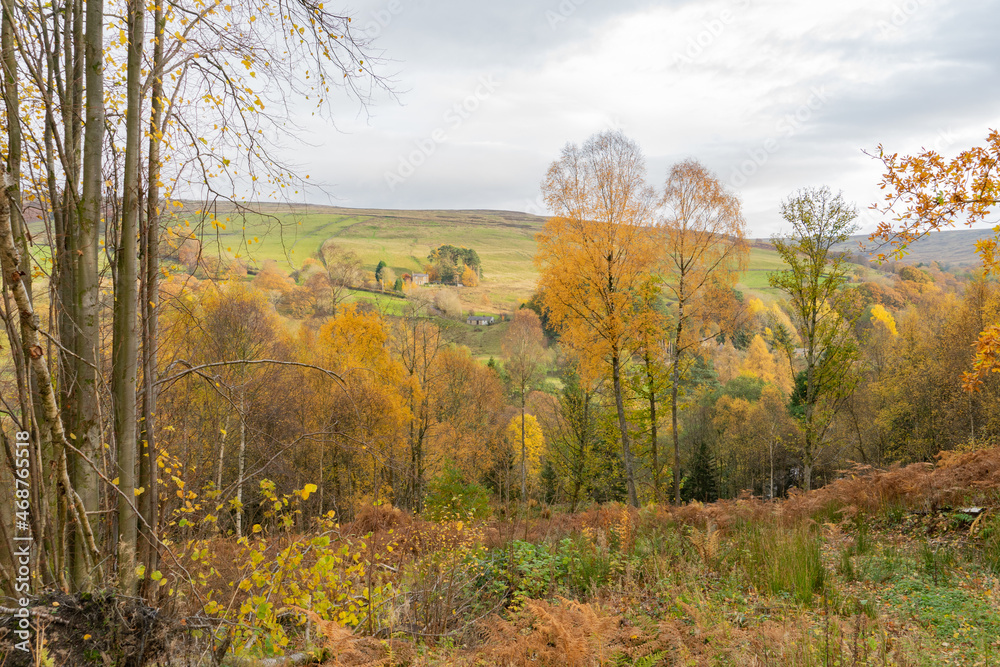 View to Eals in Northumberland from the South Tyne Trail in autumn