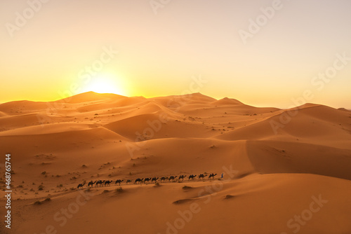 Camel caravan in the desert at sunset, Morocco