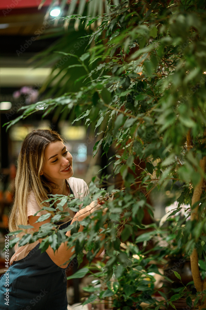 Florist taking care of a plant while using pruning shears Florist taking care of a plant while using pruning shears