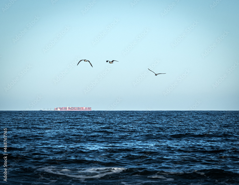 Fototapeta premium Container Ship