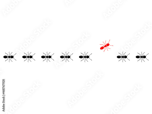 Aint trail. Think differently concept. Red ant going different way from black ants.