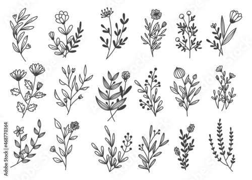 Set of hand drawn nature floral doodles vector illustration