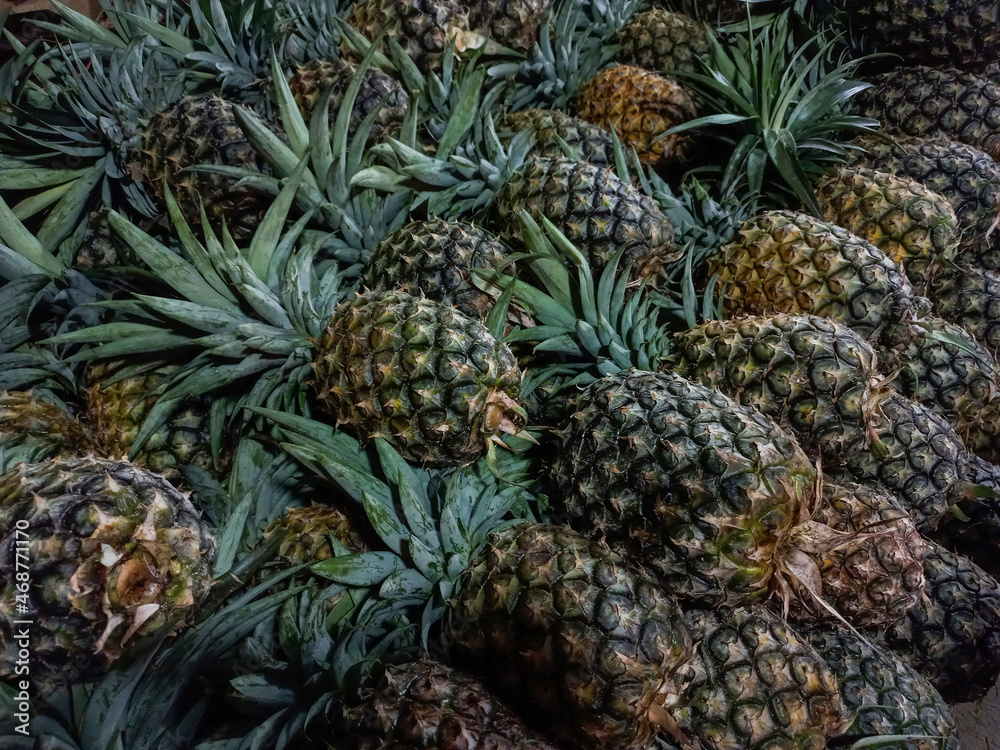 pineapple on the market pineapple on the market