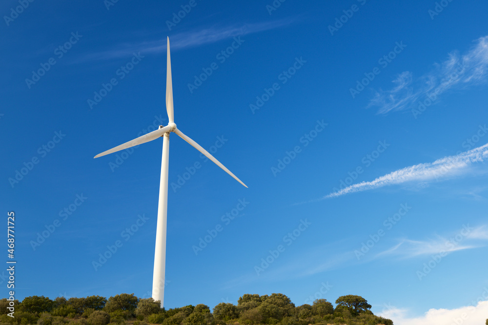 Fototapeta premium Green energy concept view