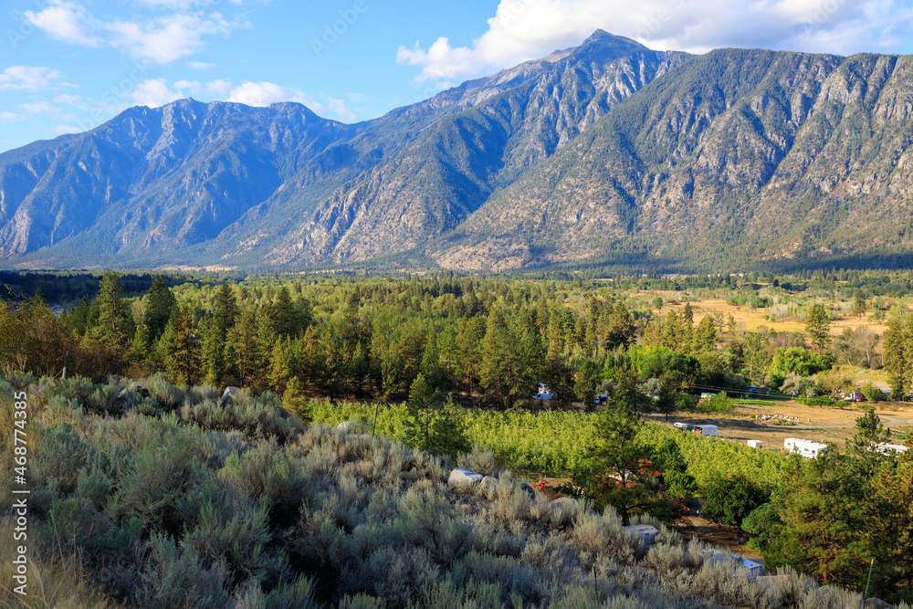 Fototapeta premium Landscape Similkameen Valley Apple Tree Orchard