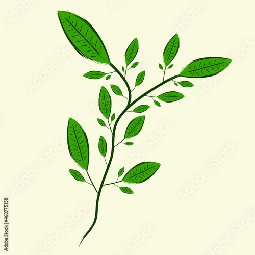 leaf stalks and twigs hand drawn plant branch botanical flora wallpaper vector illustration art