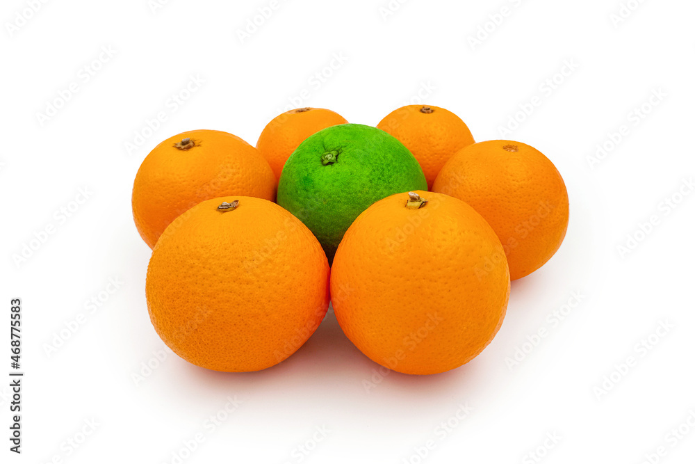One sweet lemon white background with assorted fresh-citrus fruits realistic icons One sweet lemon white background with assorted fresh-citrus fruits realistic icons