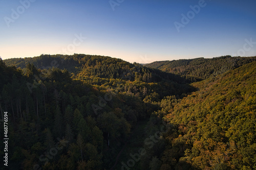 View of the landscape from the Geierlay suspension bridge
