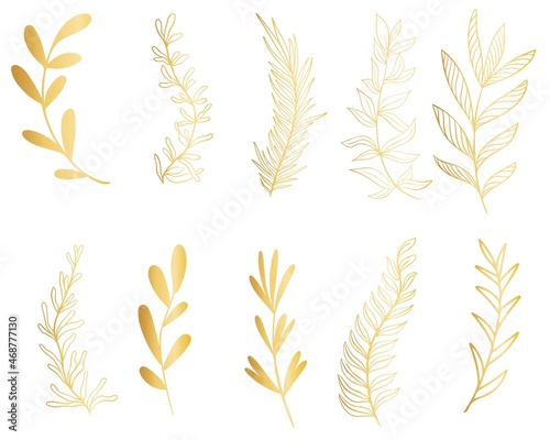Fototapeta Set of golden botanical branches, vector illustration
