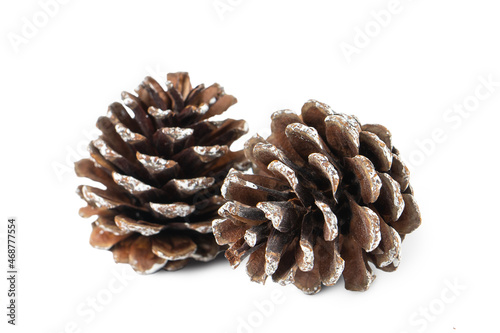 two brown pine cones with white edges isolated on white background