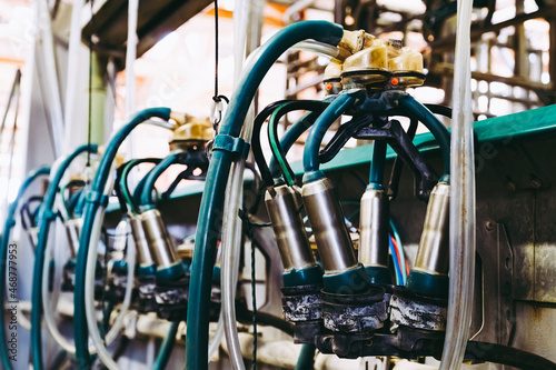 Equipement pour traite des vaches automatisée dans une laiterie