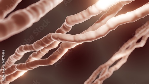 Картината върху платно Collagen is the main component of skin, bones and tendons