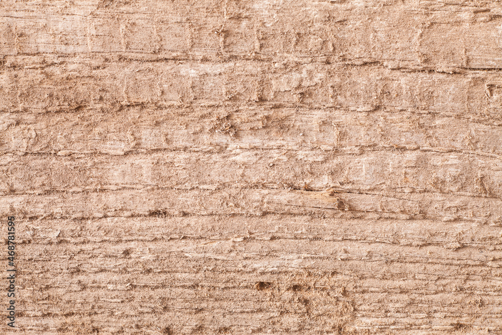 Obraz premium Background texture old wooden board.