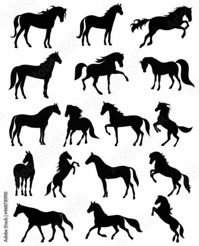 black horse silhouette set vector, isolated