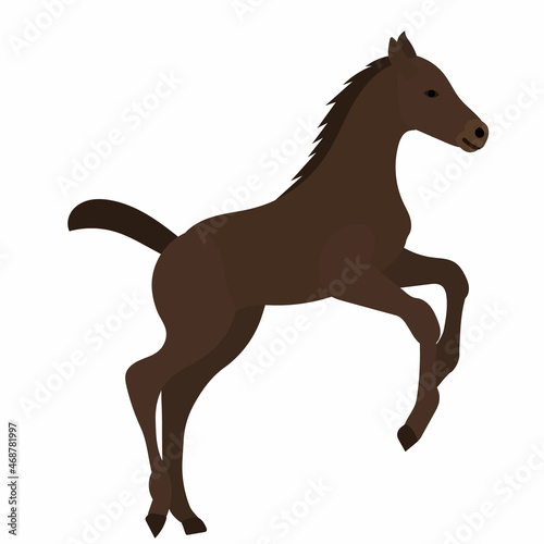 foal flies in flat style vector, isolated