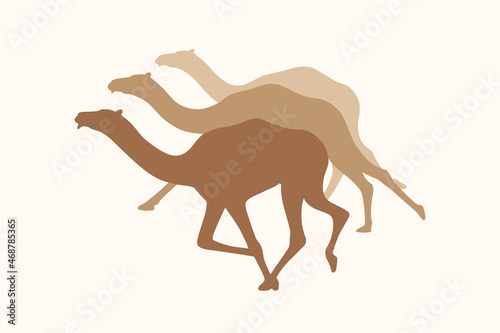 Camel race poster design template. Running camels graphic sign isolated on white background. Symbol camel race. Vector illustration