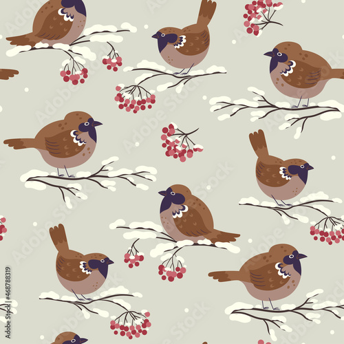 Seamless pattern of cute winter sparrows sitting on rowan branches. Vector graphics.