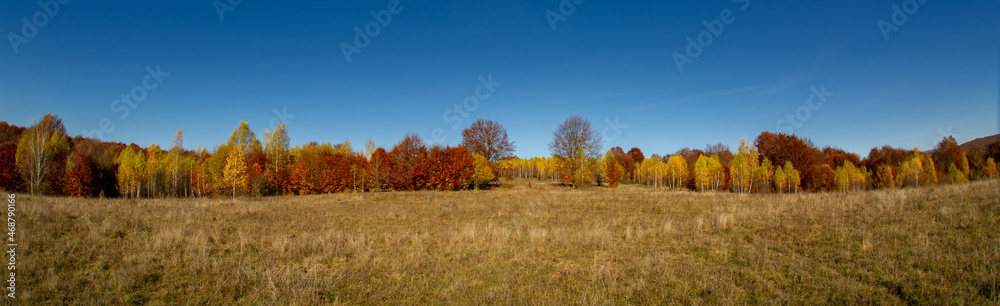 Transilvania  panorama landscape