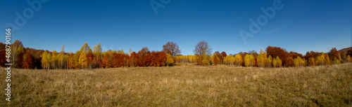 Transilvania panorama landscape
