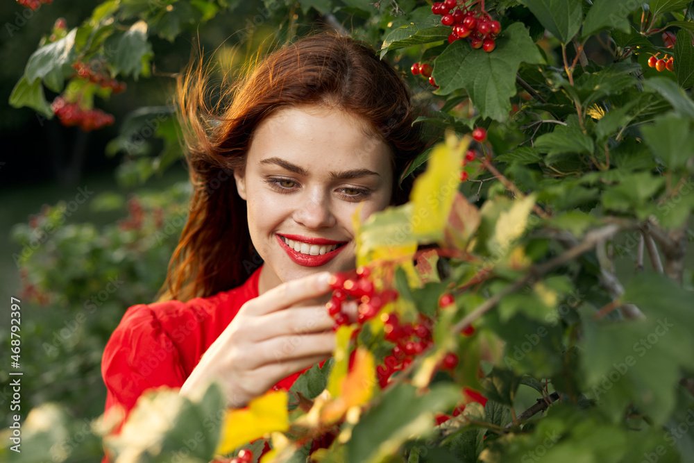 women near bushes nature berries summer lifestyle women near bushes nature berries summer lifestyle