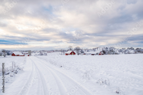 Snowy dirt road to a farm in a wintry countryside © Lars Johansson
