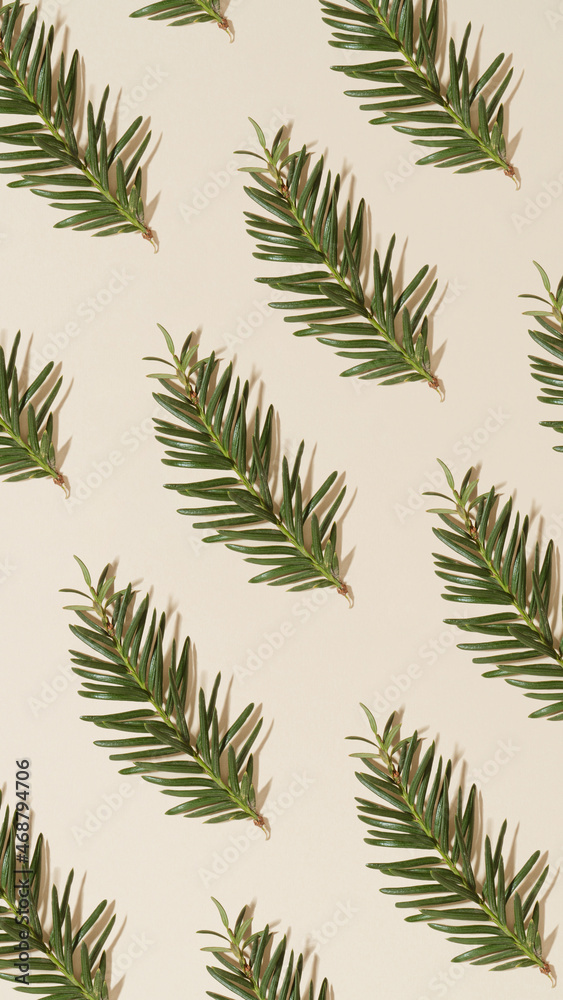 Creative composition pattern with green fir branches on bright sandy background. Vertical crop, trendy style. Creative composition pattern with green fir branches on bright sandy background. Vertical crop, trendy style.