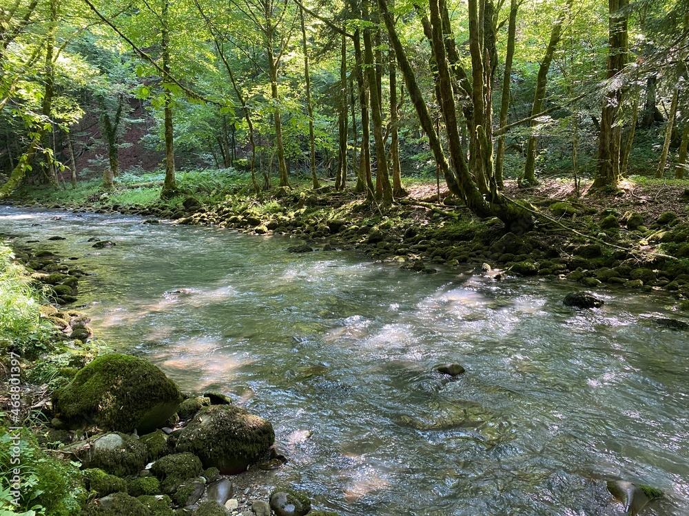 Curak stream near the Zeleni vir picnic area in Gorski kotar - Vrbovsko, Croatia (Potok Curak kod izletišta Zeleni vir u Gorskom kotaru - Vrbovsko, Hrvatska)