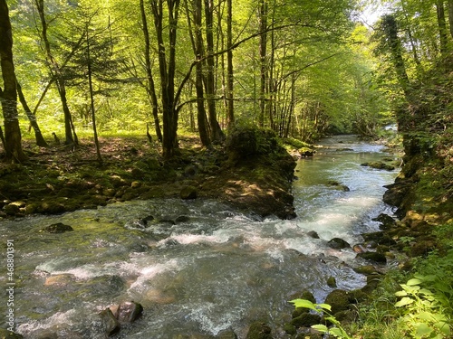 Curak stream near the Zeleni vir picnic area in Gorski kotar - Vrbovsko  Croatia  Potok Curak kod izleti  ta Zeleni vir u Gorskom kotaru - Vrbovsko  Hrvatska 