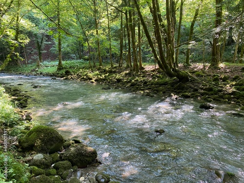 Curak stream near the Zeleni vir picnic area in Gorski kotar - Vrbovsko, Croatia (Potok Curak kod izletišta Zeleni vir u Gorskom kotaru - Vrbovsko, Hrvatska) photo